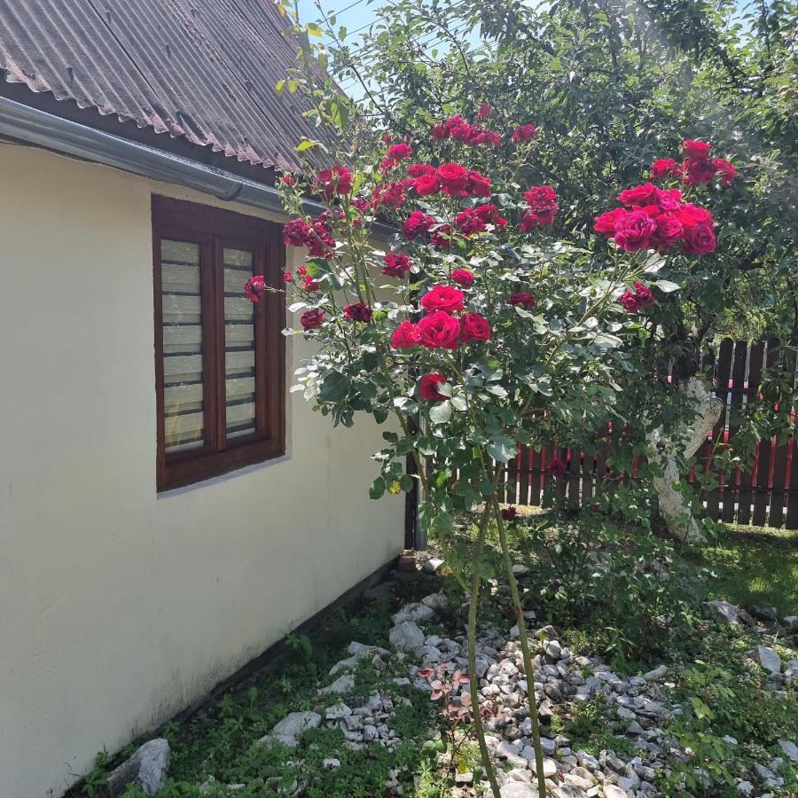 Vila Paula & Spa Sovata Dış mekan fotoğraf
