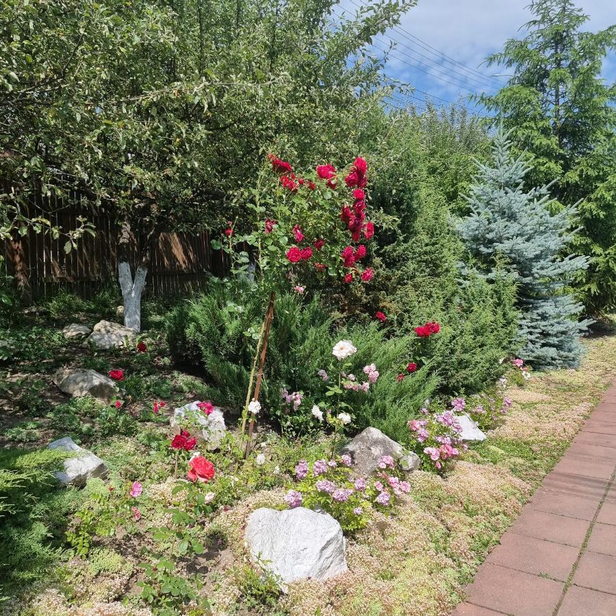 Vila Paula & Spa Sovata Dış mekan fotoğraf