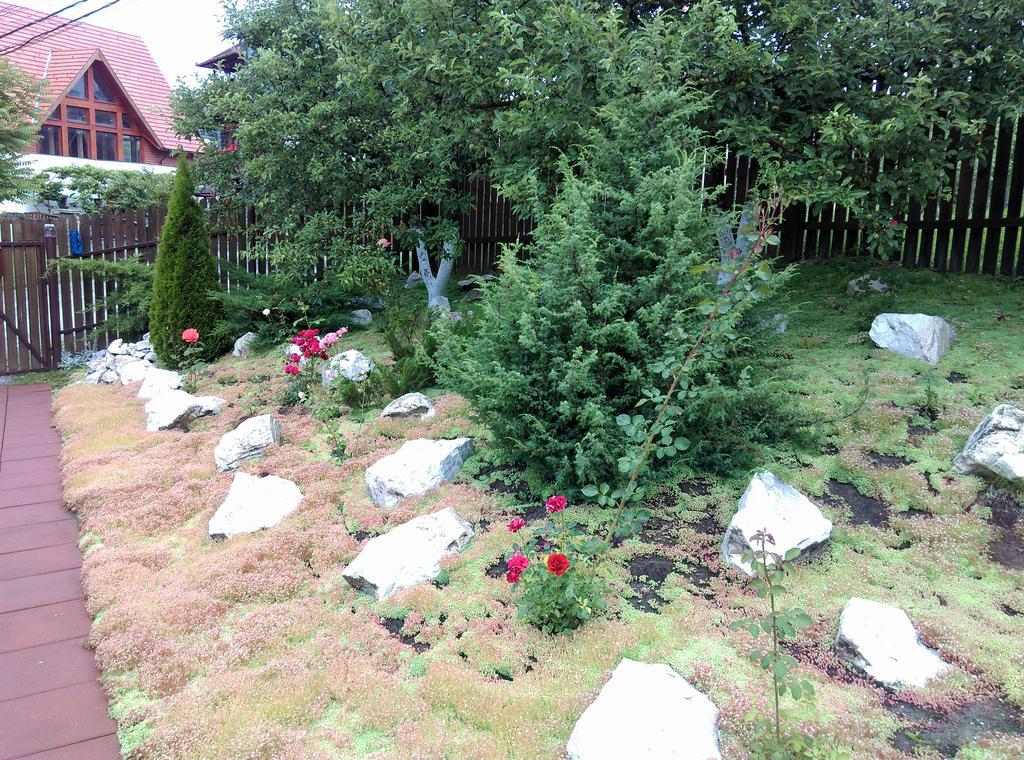 Vila Paula & Spa Sovata Dış mekan fotoğraf
